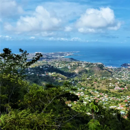 Grenada Family Network